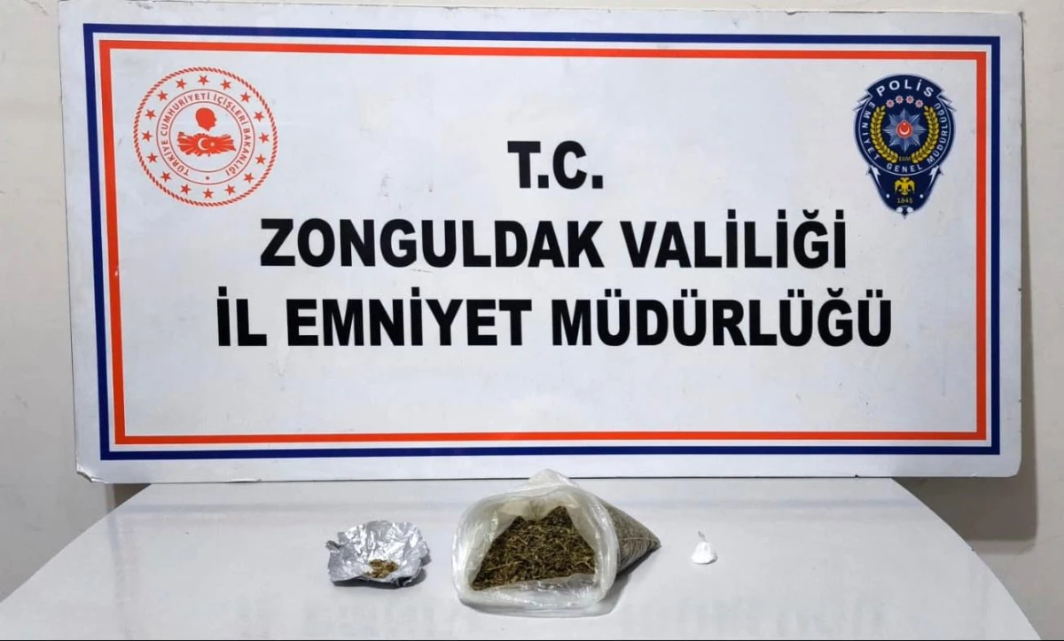 Zonguldak'ta Bonzai ve Metamfetamin ele geçirildi