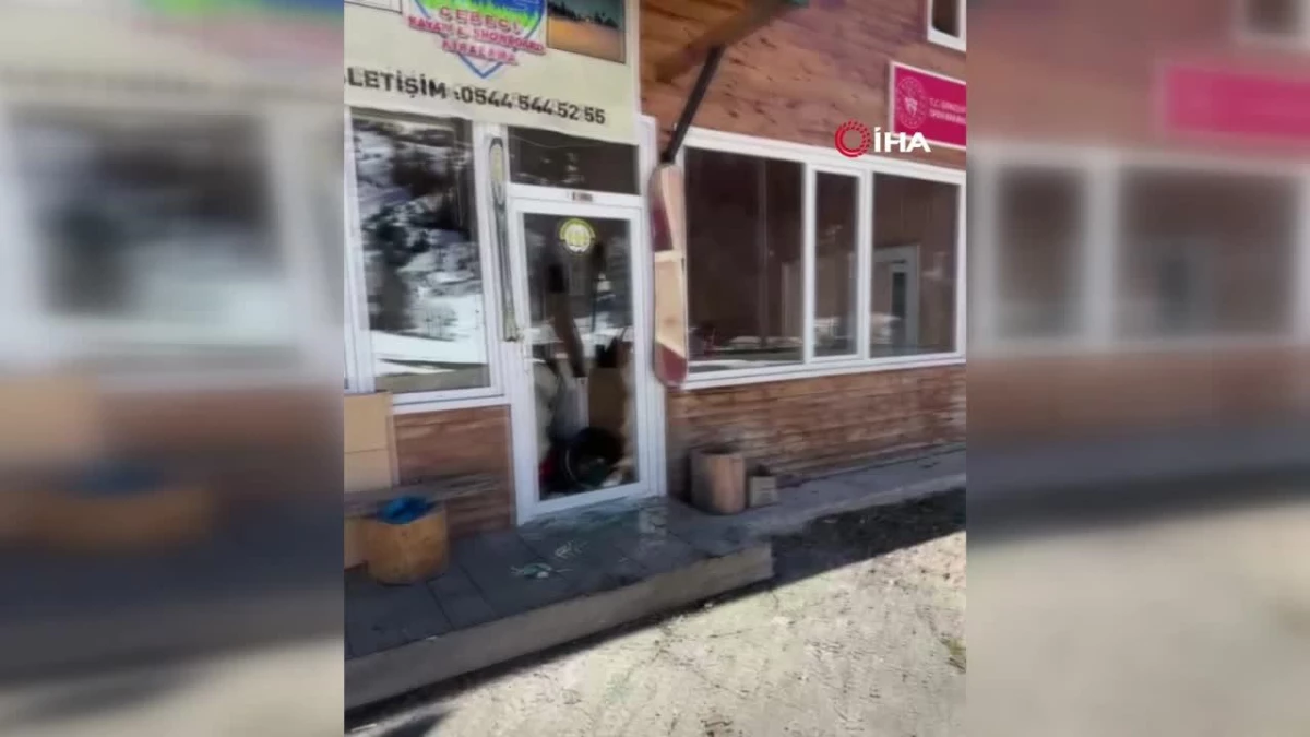 Artvin’de aç kalan ayılar kayak tesisine dadandı