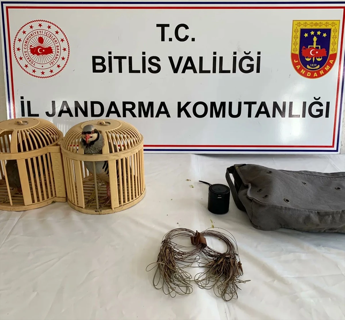 Bitlis’te 3 Keklik ve Av Malzemeleriyle Yakalananlara Yüksek Cezalar