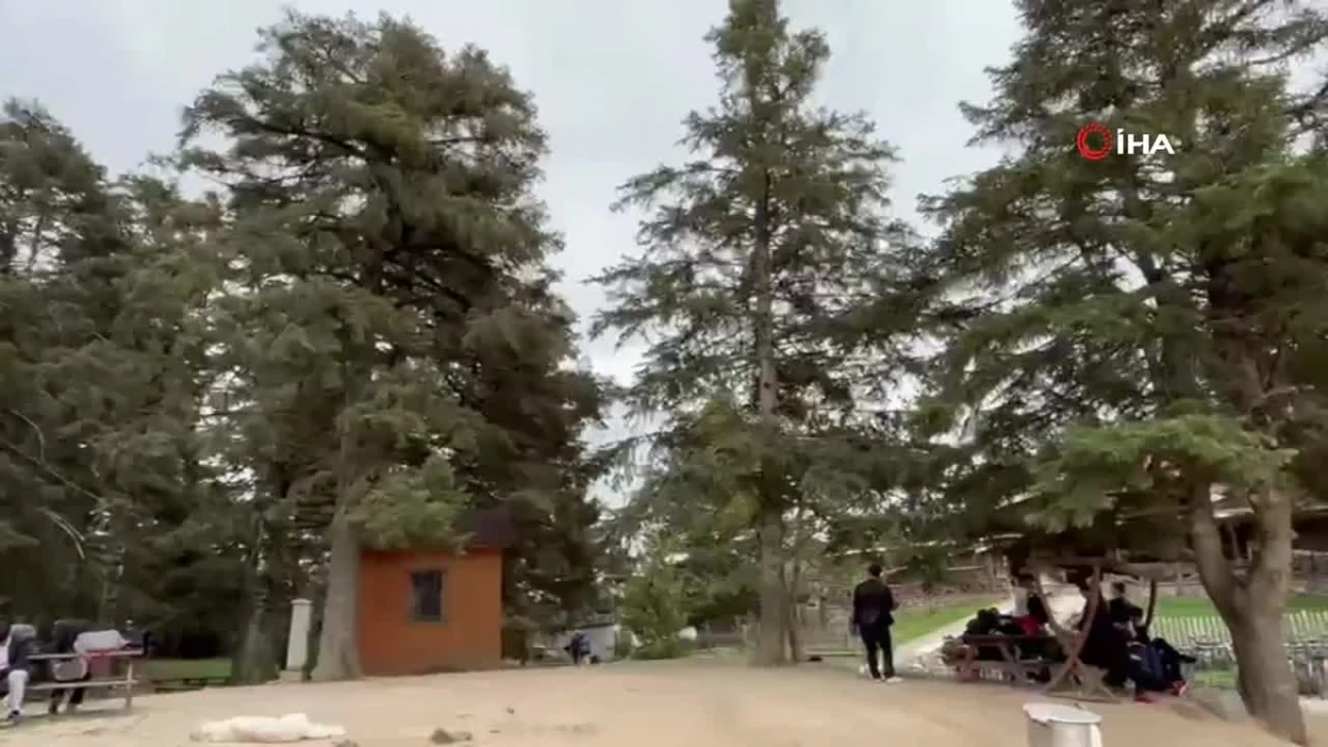 Bolu'da şiddetli rüzgar etkili oluyor