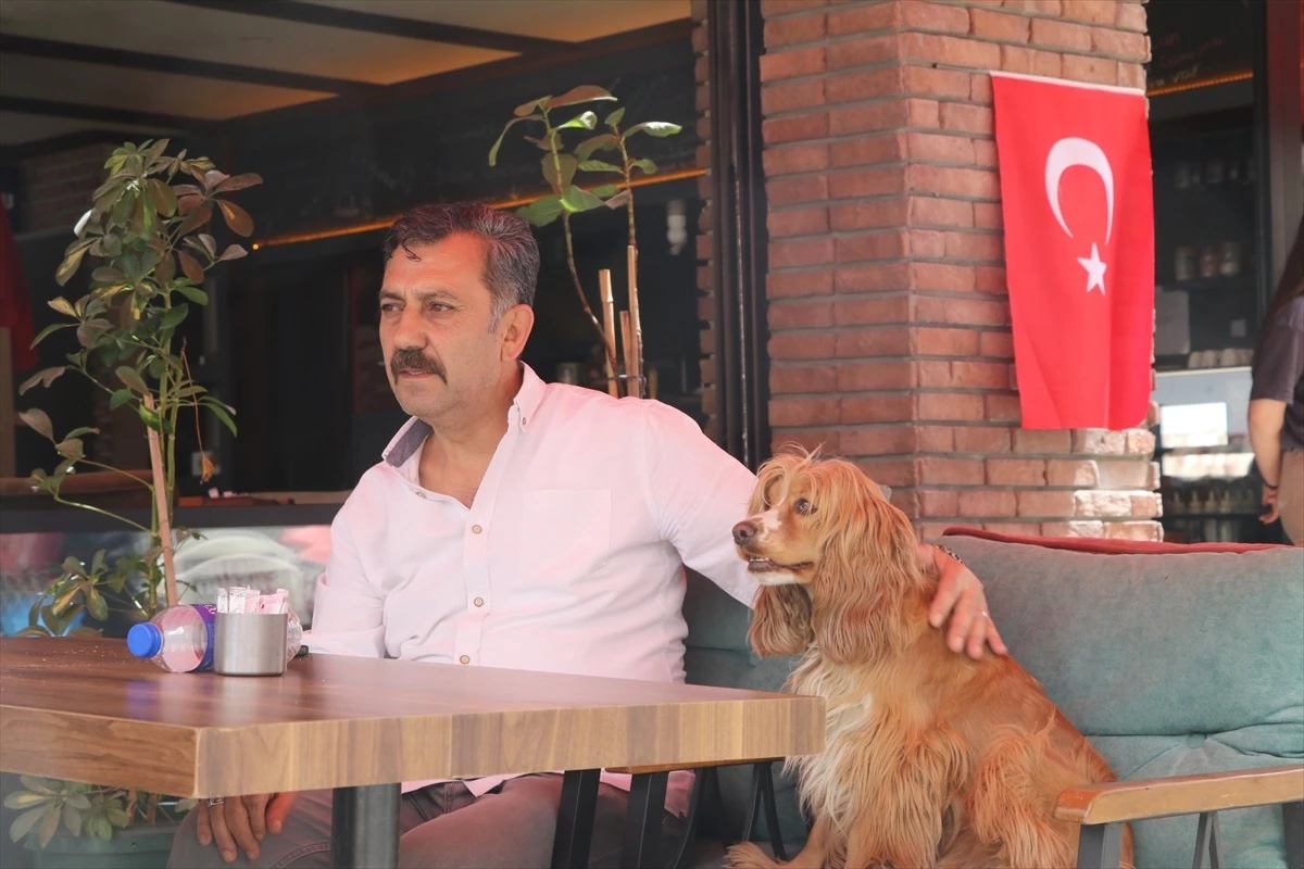 Çankırı’da Hafif Ticari Araç Köpeğin Üzerinden Geçti