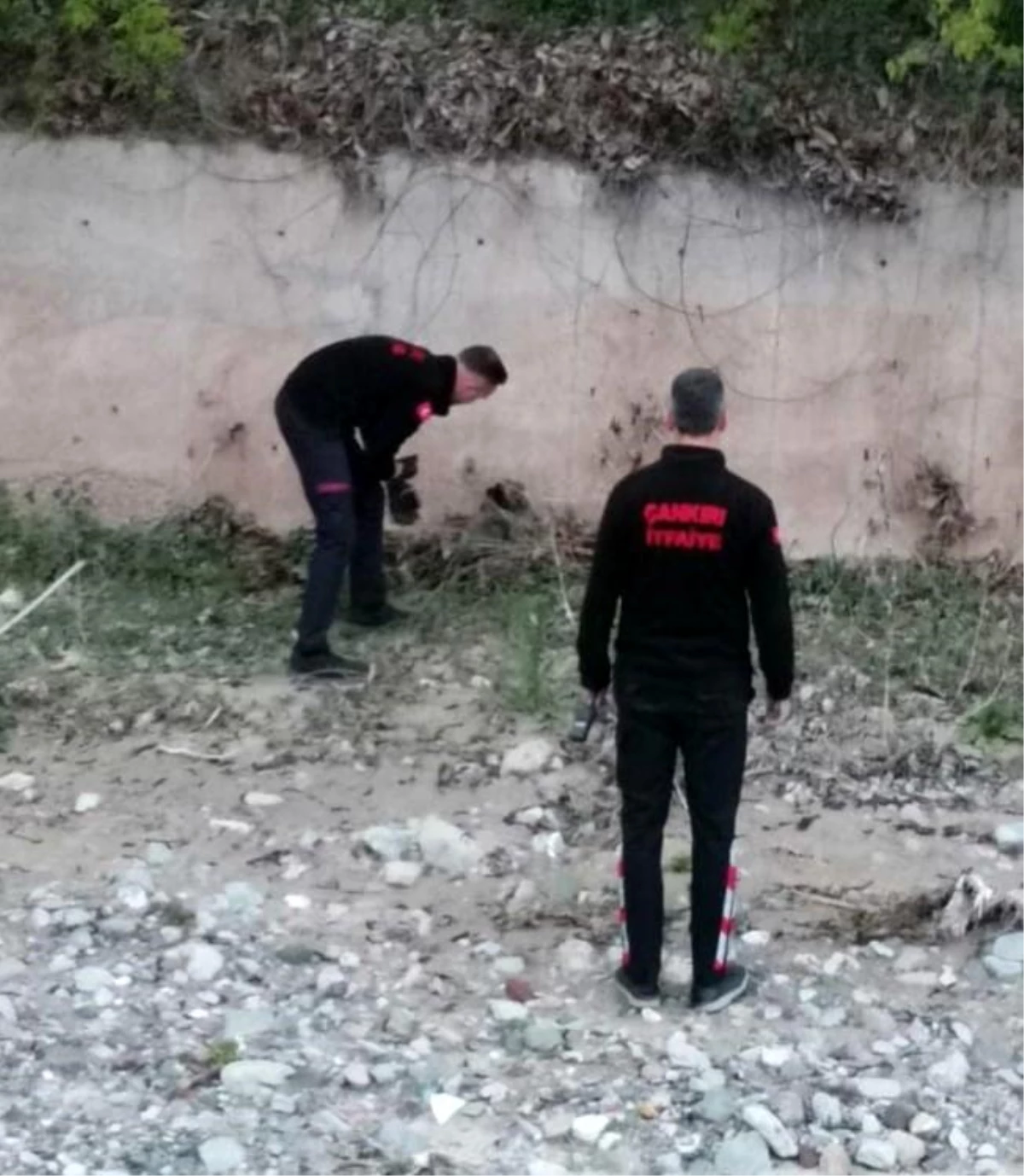Çankırı'da Çaya Düşen Yavru Köpek İtfaiye Tarafından Kurtarıldı