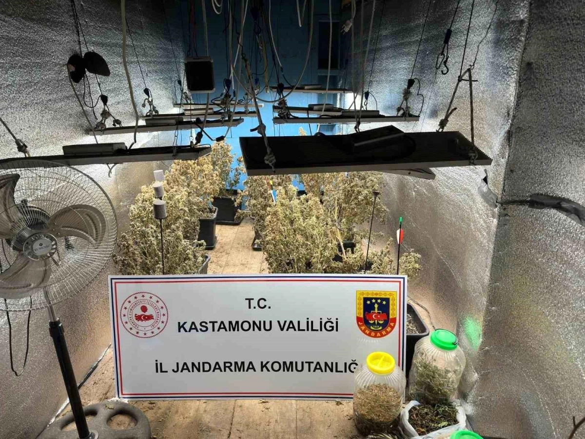 Kastamonu'da Kenevir ve Esrar Operasyonu: 4 Gözaltı