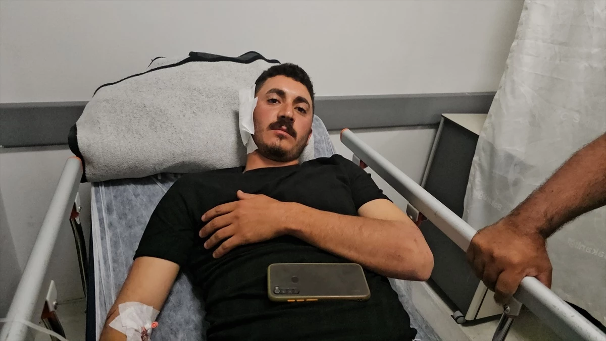 Erzincan'da Mantar Toplayıcısına Ayı Saldırısı