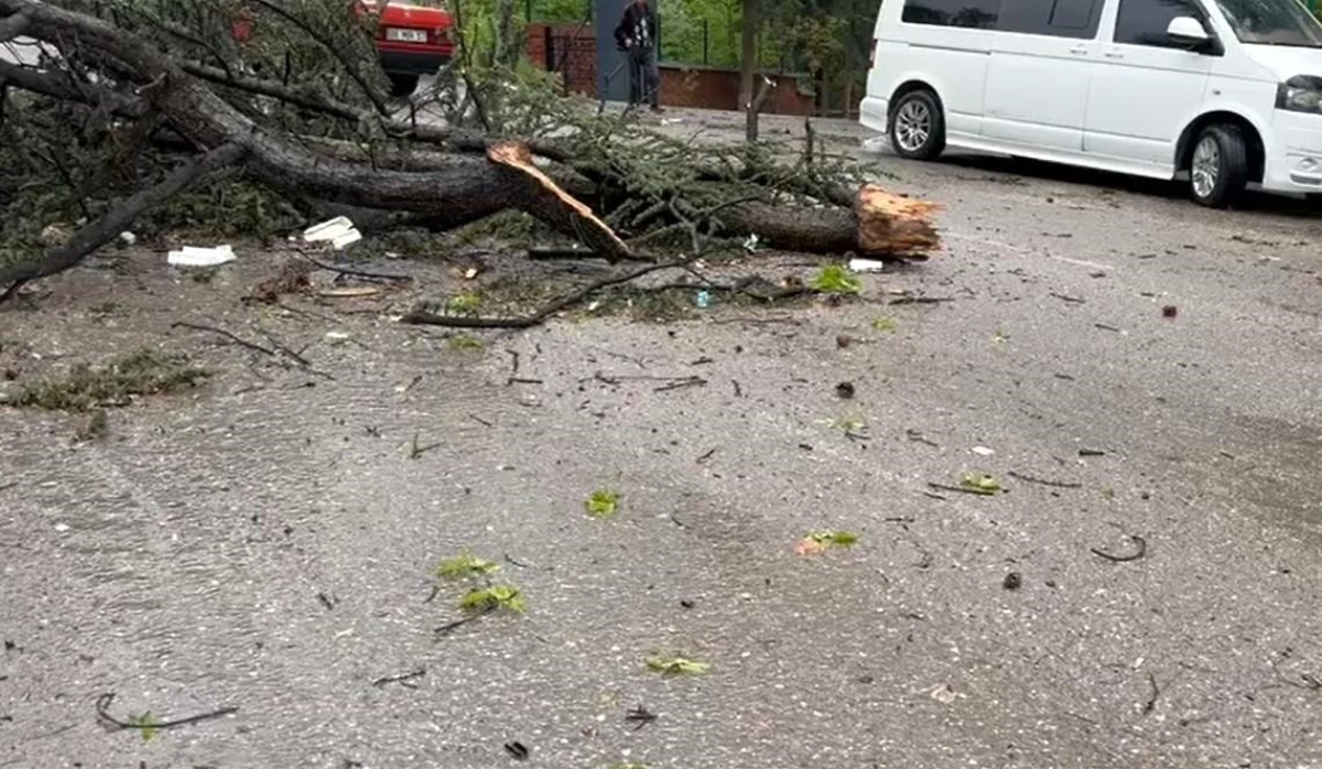 Çankırı'da ve ilçelerinde etkili olan fırtınada ağaçlar devrildi, çatılar uçtu