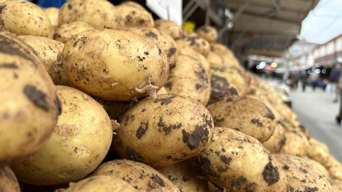 Bolu'da Patates Fiyatları Yükseldi