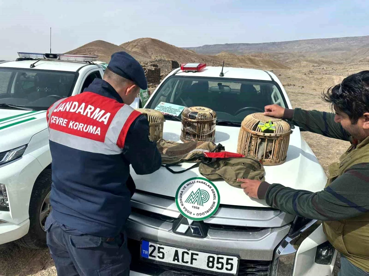 Kars'ta Yasa Dışı Keklik Avcılarına Yüksek Cezalar