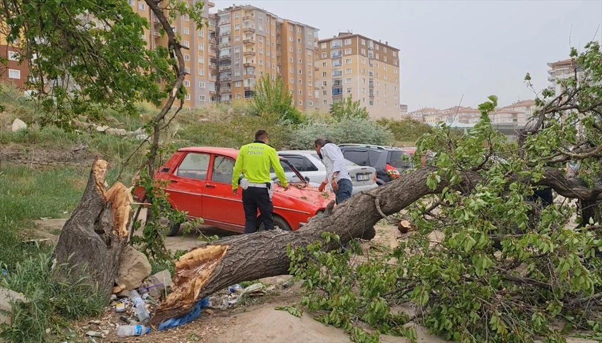 Kırıkkale'de Şiddetli Rüzgar Nedeniyle Otomobil Üzerine Ağaç Devrildi