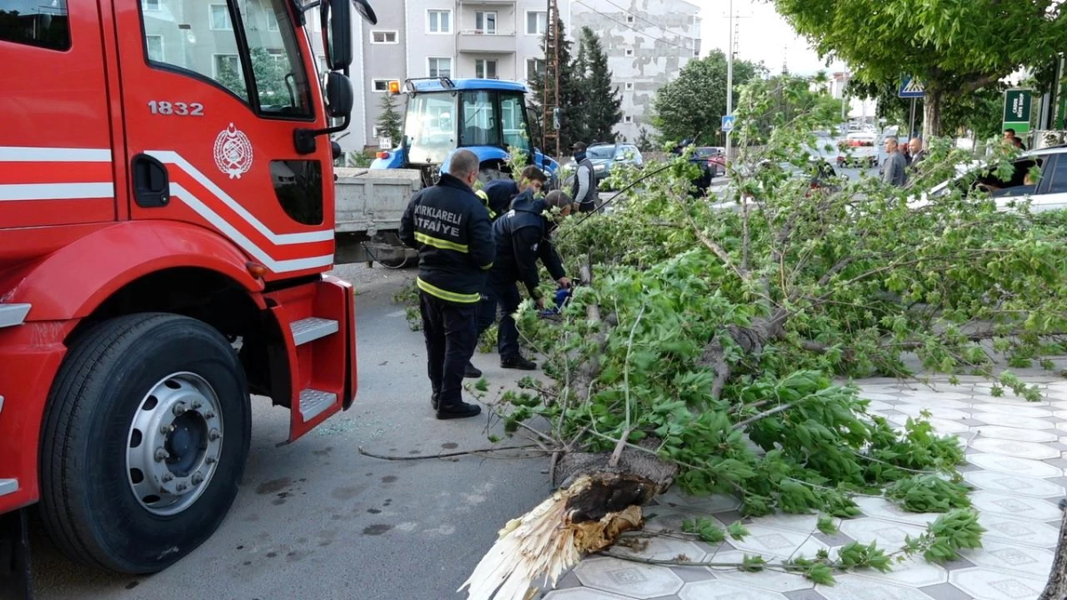 Kırklareli'nde Şiddetli Rüzgar Sonucu Ağaç Aracın Üstüne Devrildi