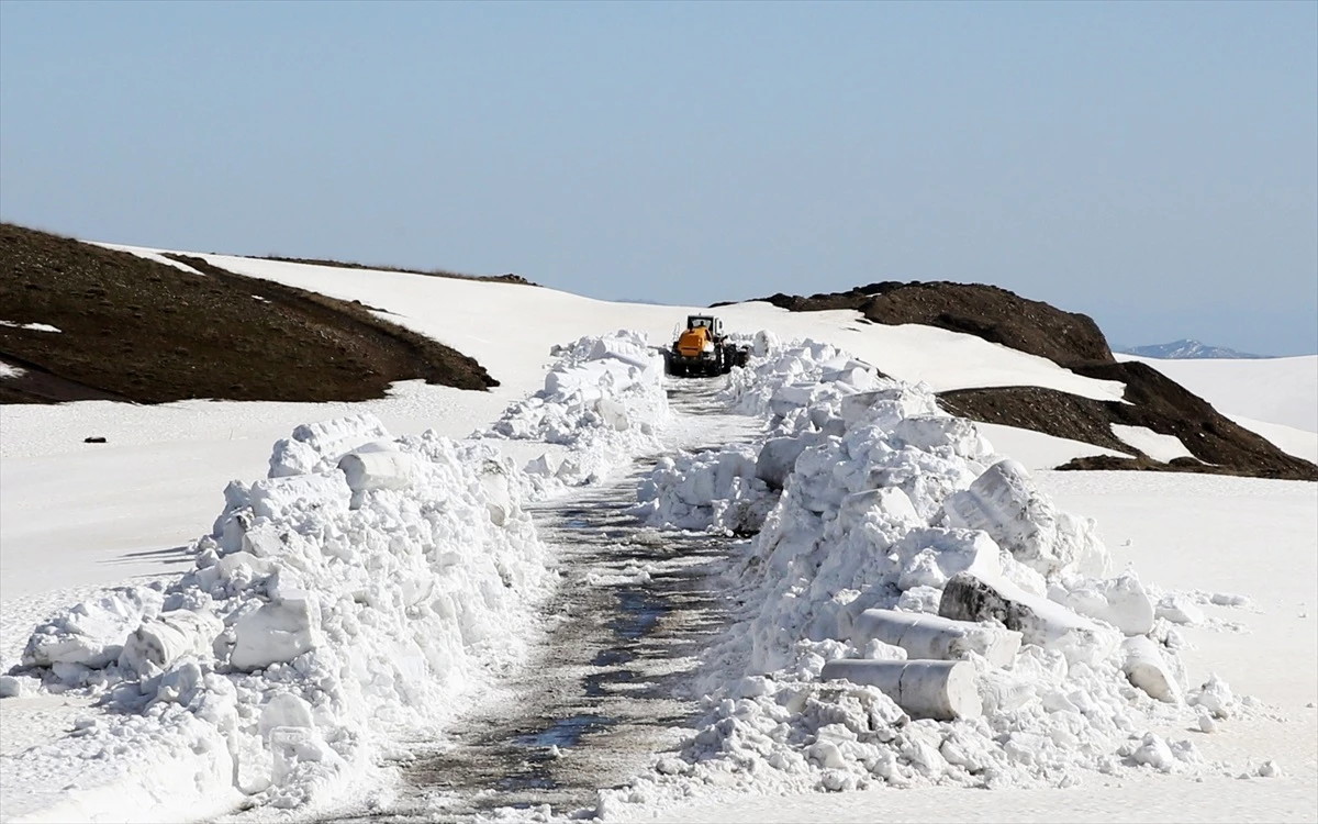 Muş'ta karla mücadele çalışmaları tamamlandı