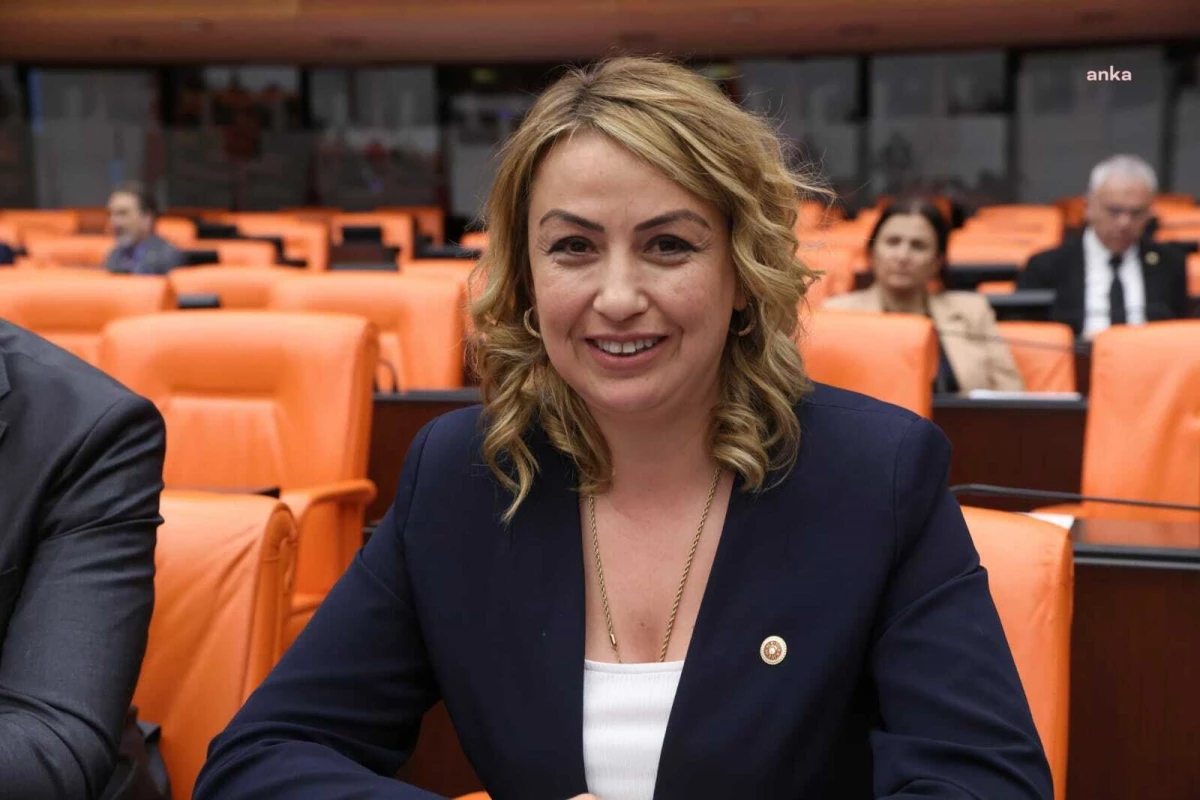 CHP Hatay Milletvekili Nermin Yıldırım Kara, Hatay'da Taş Ocağı ve Kırma Eleme Tesislerine Karşı Çıkıyor