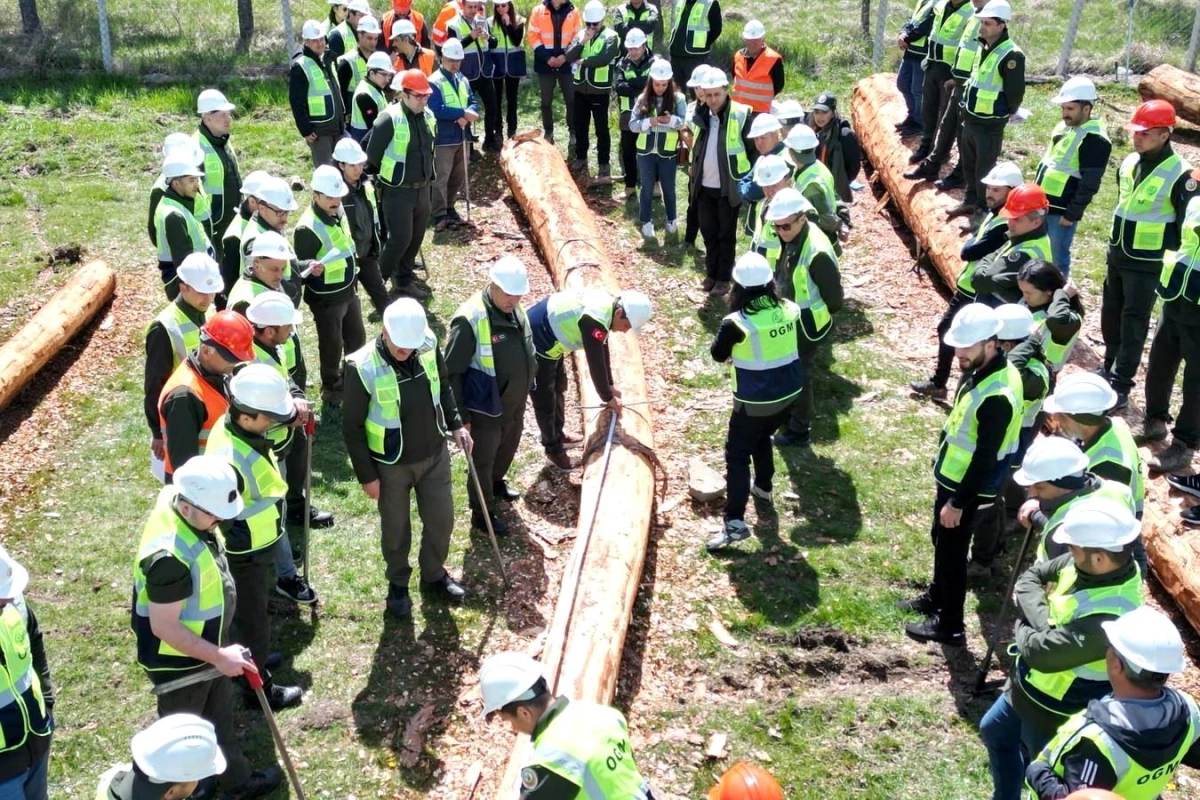 Aladağ Orman İşletme Müdürlüğünde Orman Emvali Üretiminde Eğitim Tatbikatı Yapıldı