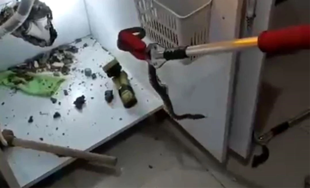 Şanlıurfa'da bir evin mutfağına giren yılan itfaiye tarafından yakalandı
