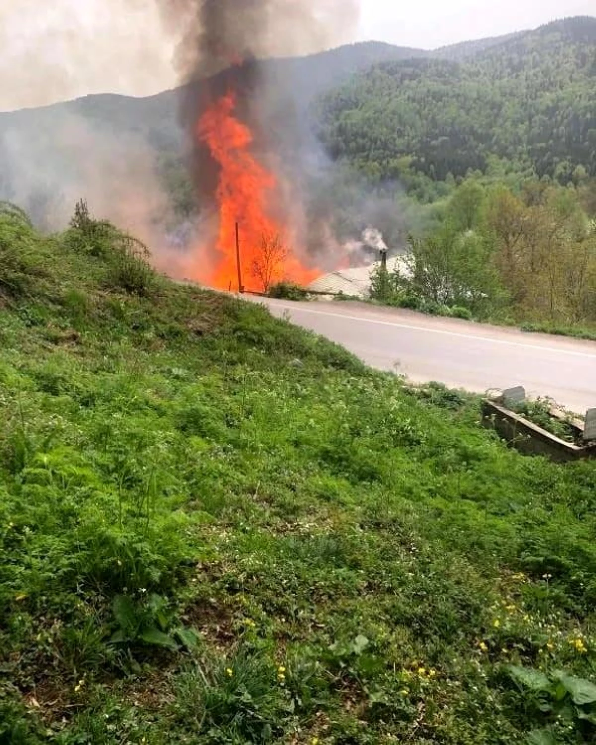 Sinop’un Ayancık ilçesinde çıkan yangında 2 ev kül oldu