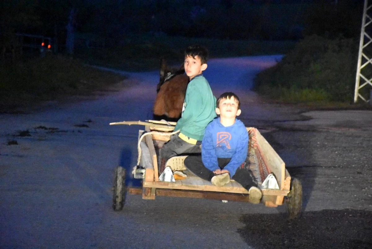 Sinop’ta çocukların tehlikeli eşek arabası yolculuğu