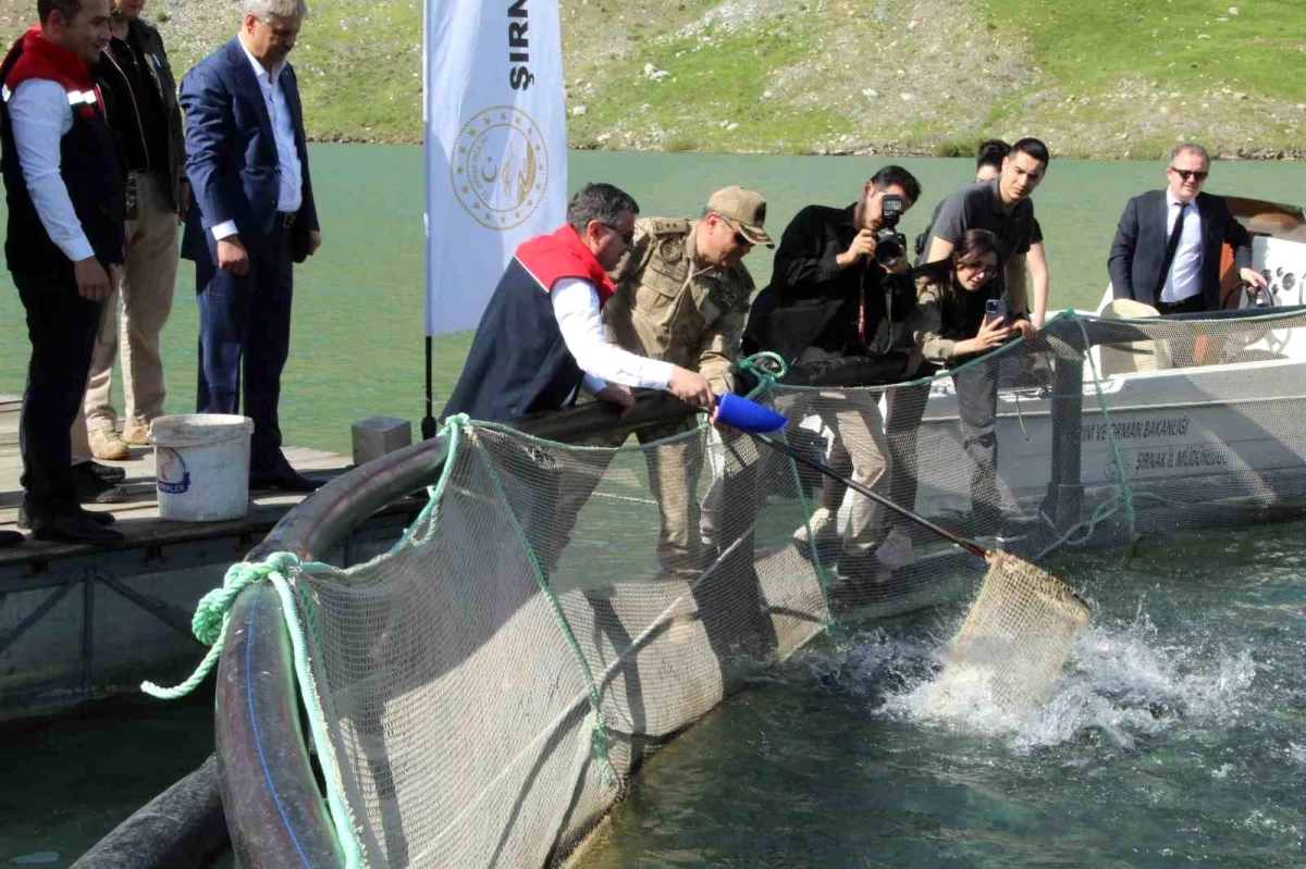 Şırnak'ta Sürdürülebilir Alabalık Yetiştiriciliği Projesi ile 30 Ton Alabalık Üretildi