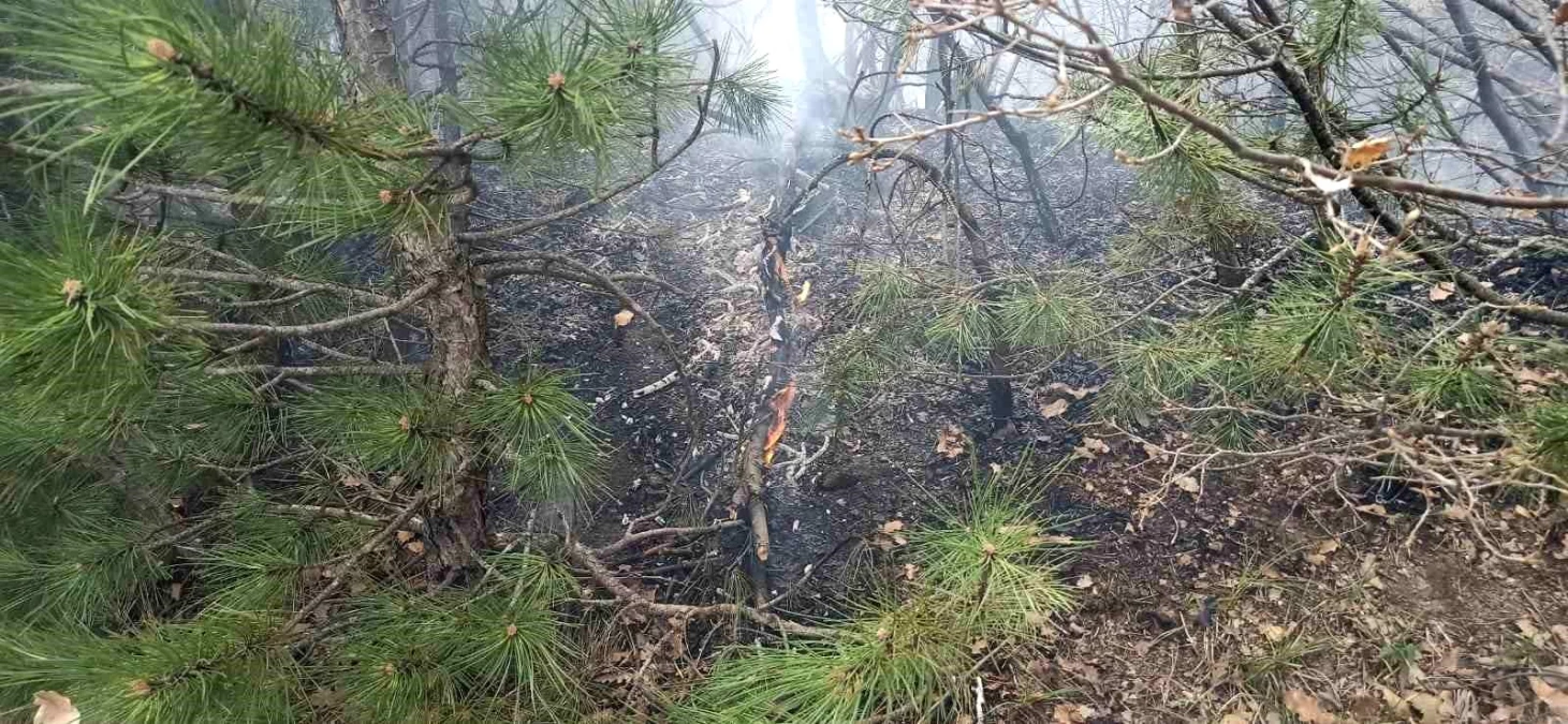 Tokat’ın Sulusaray ilçesinde orman yangını söndürüldü