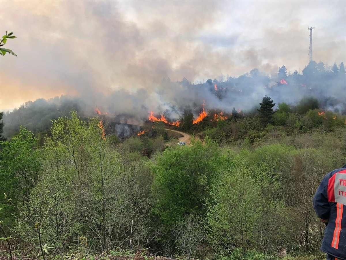 Trabzon ile Giresun sınırındaki örtü yangını kontrol altına alındı