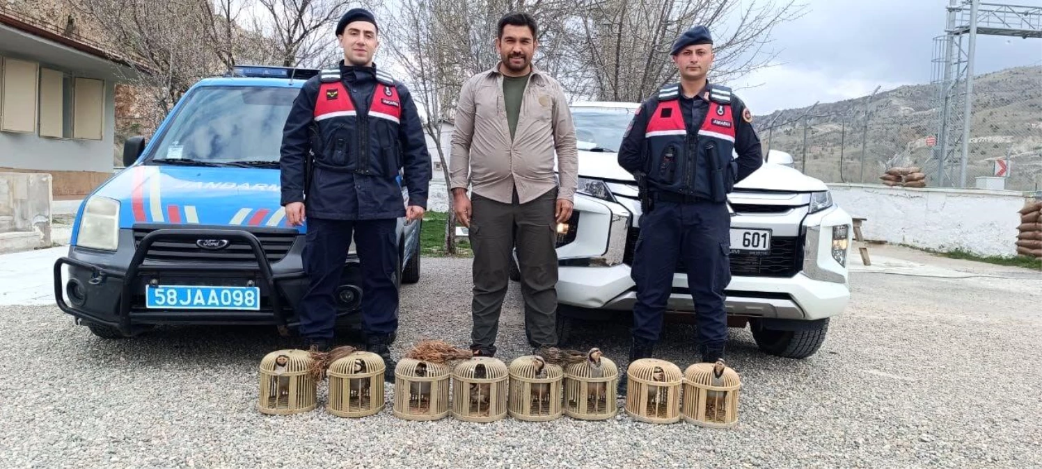 Sivas'ta yasadışı avcılık yapan 4 kişi yakalandı