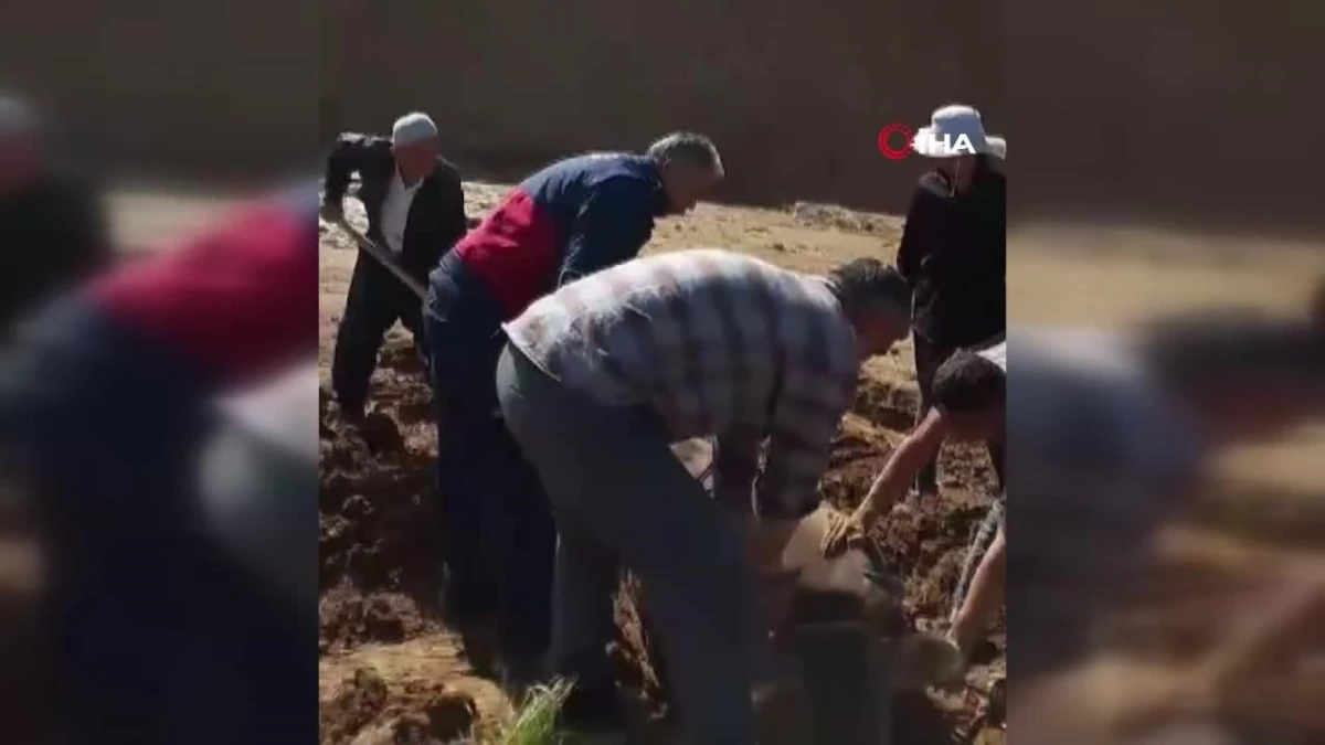 Yüksekova’da bataklığa saplanan ineği itfaiye ekipleri kurtardı