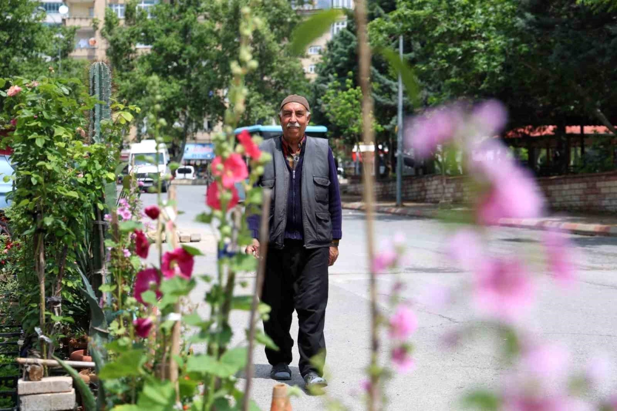 70 yaşındaki adamın hayatı bitkilerle geçiyor