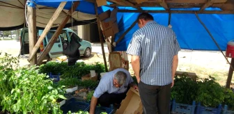 Adana’da Ata Tohumu ve Fideleri Yoğun İlgi Görüyor