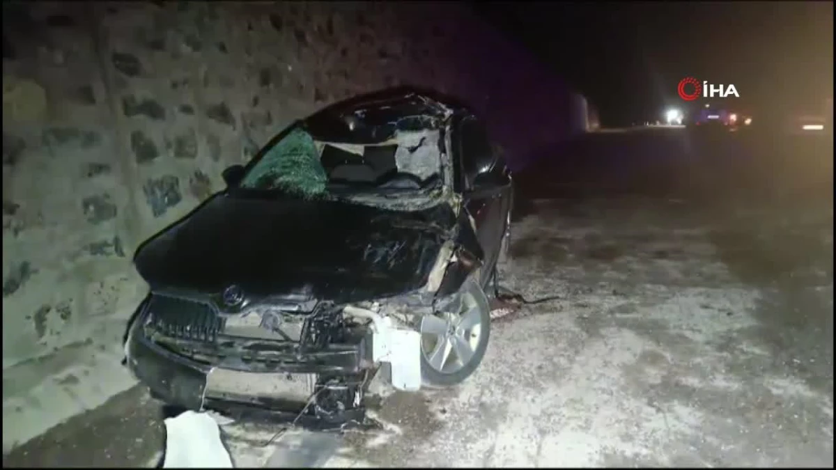 Bingöl'de otomobil ata çarptı: Kazada 1 kişi hayatını kaybetti