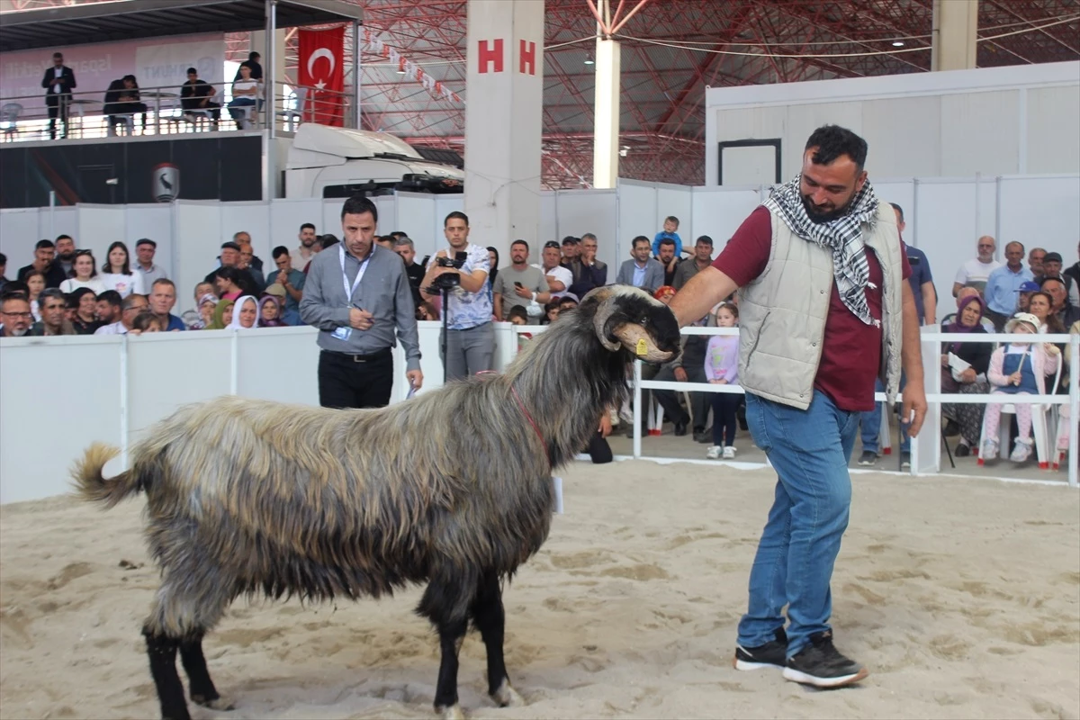 Burdur'da Teke Yöresi 9. Tarım, Hayvancılık, Tarım Teknolojileri Fuarı'nda Güzellik Yarışması Düzenlendi