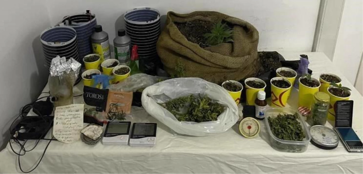Çanakkale'de Uyuşturucu Operasyonu: 110 Gram Skunk Maddesi ve 10 Kök Kenevir Ele Geçirildi