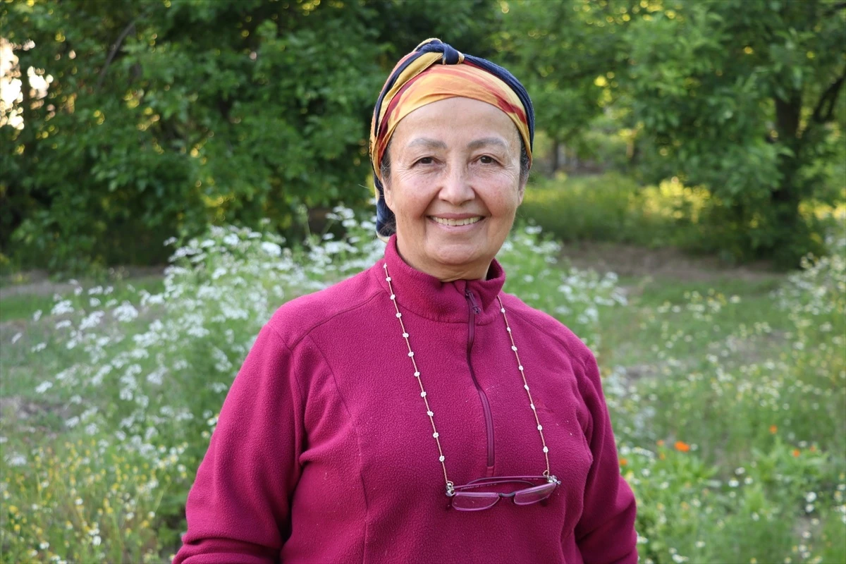 Emekli Ziraat Mühendisi Fatma Ayhan, Tıbbi Aromatik Bitki Üretimini Paylaşıyor