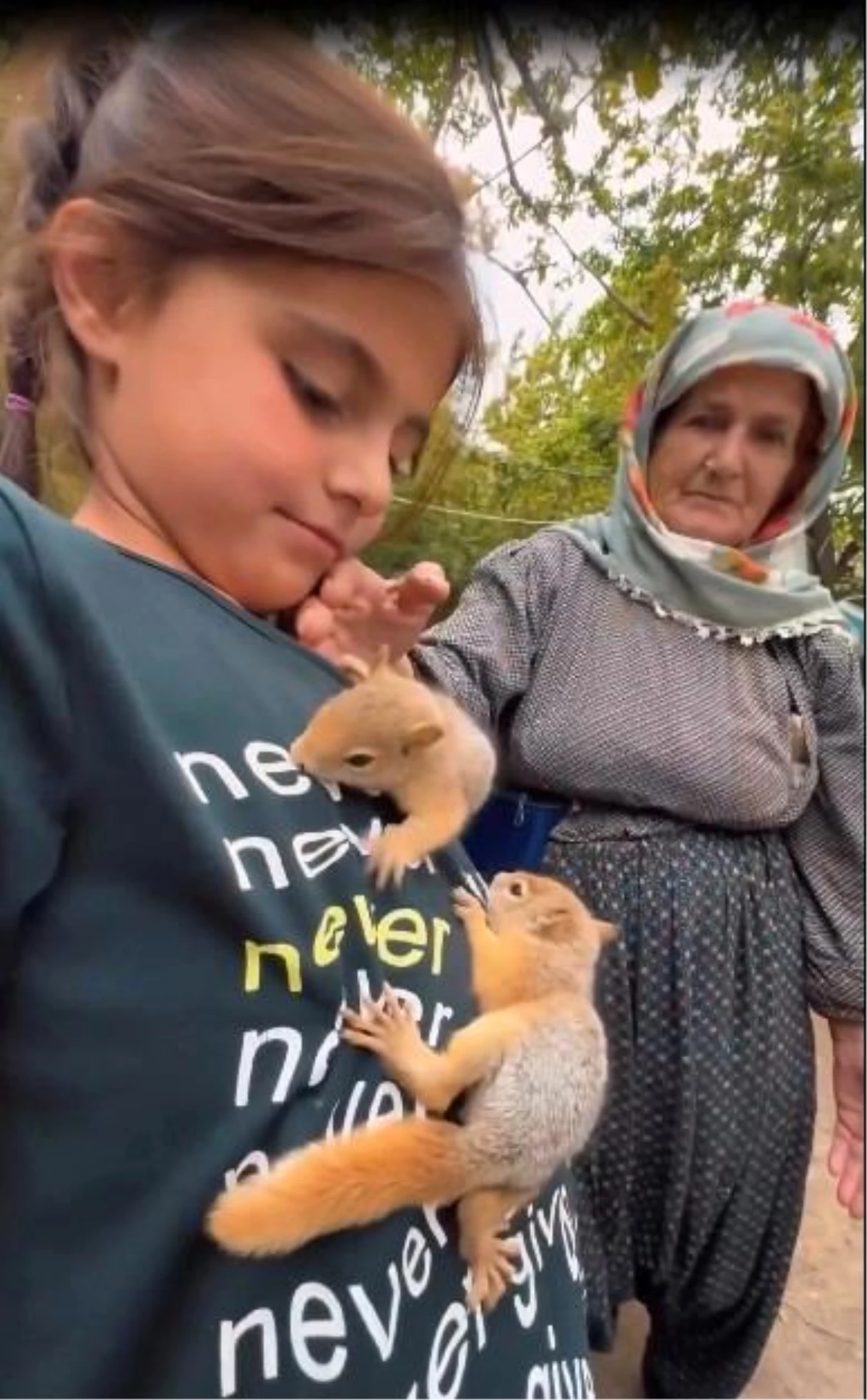 Hakkari'de Yavru Sincaplar Süt ile Besleniyor