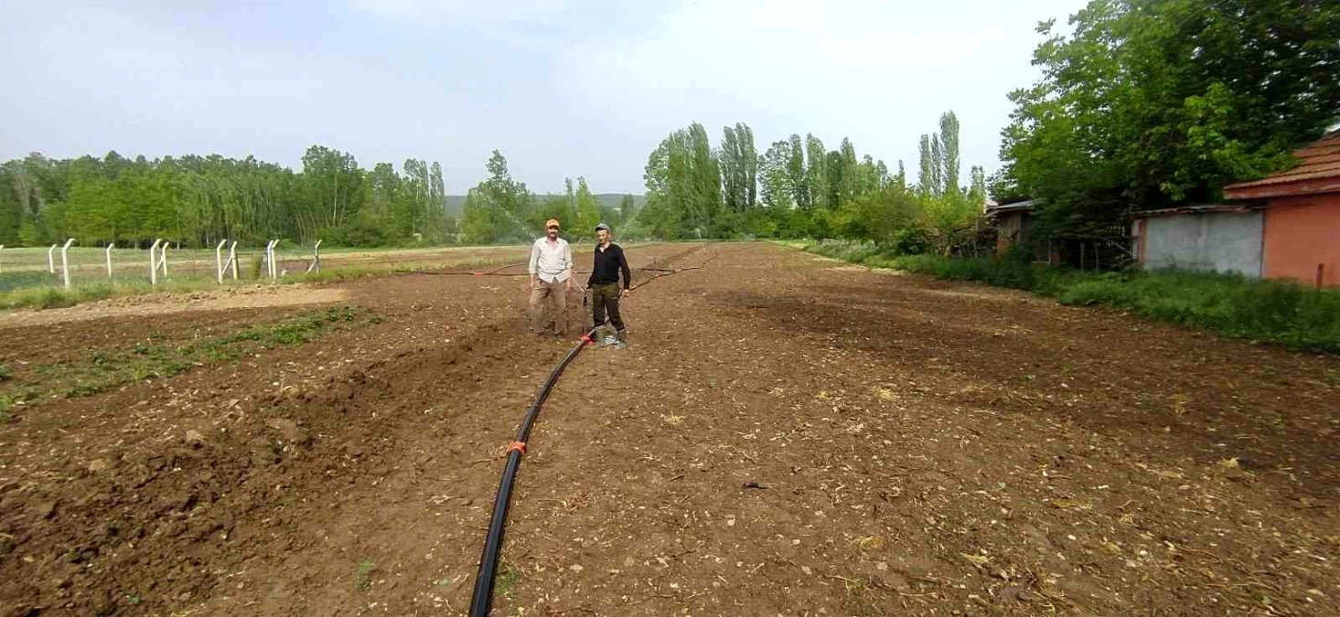 Hisarcık'ta Pancar Üreticileri Yağmurlama Sulama Çalışması Başlattı