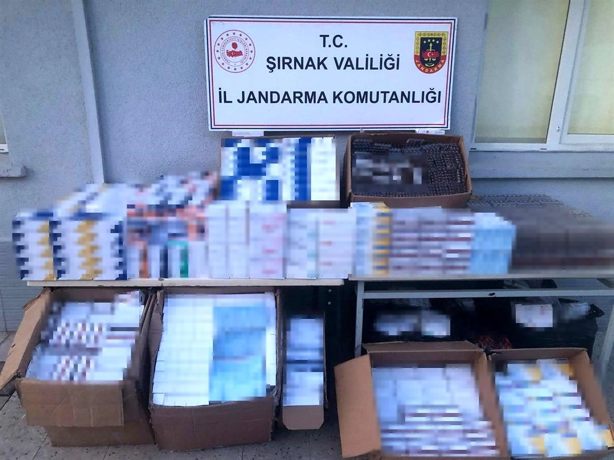 Şırnak'ta 3 Milyon TL Değerinde Kaçak İlaç Operasyonu