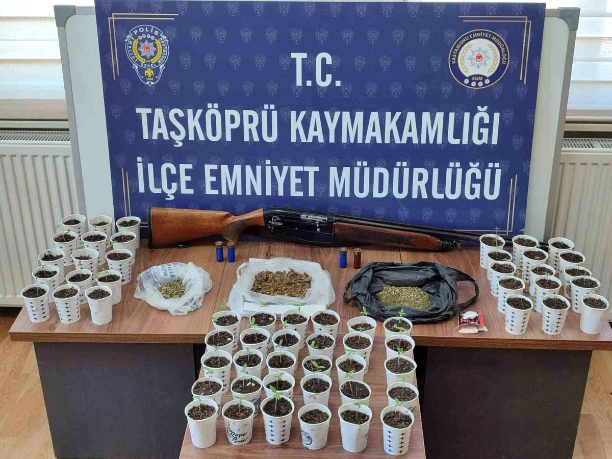 Kastamonu’da Uyuşturucu Operasyonu: Şahıs Gözaltına Alındı