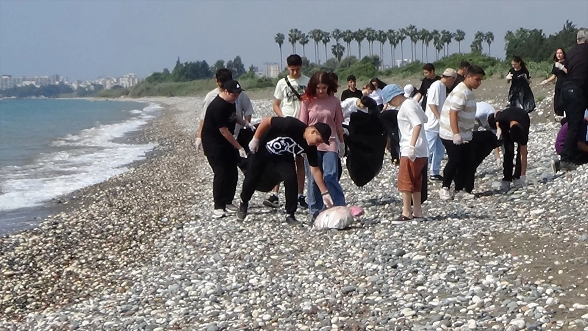 Mersin'de Caretta Carettaları Koruma Etkinliği