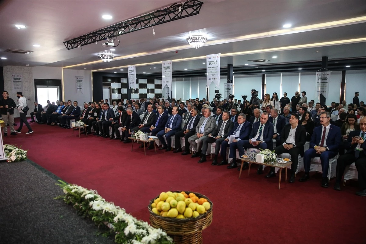 Tarım ve Orman Bakan Yardımcısı Ahmet Gümen: Turunçgil sektörü gerçekçi ve sağlam temeller üzerine yükselmeli