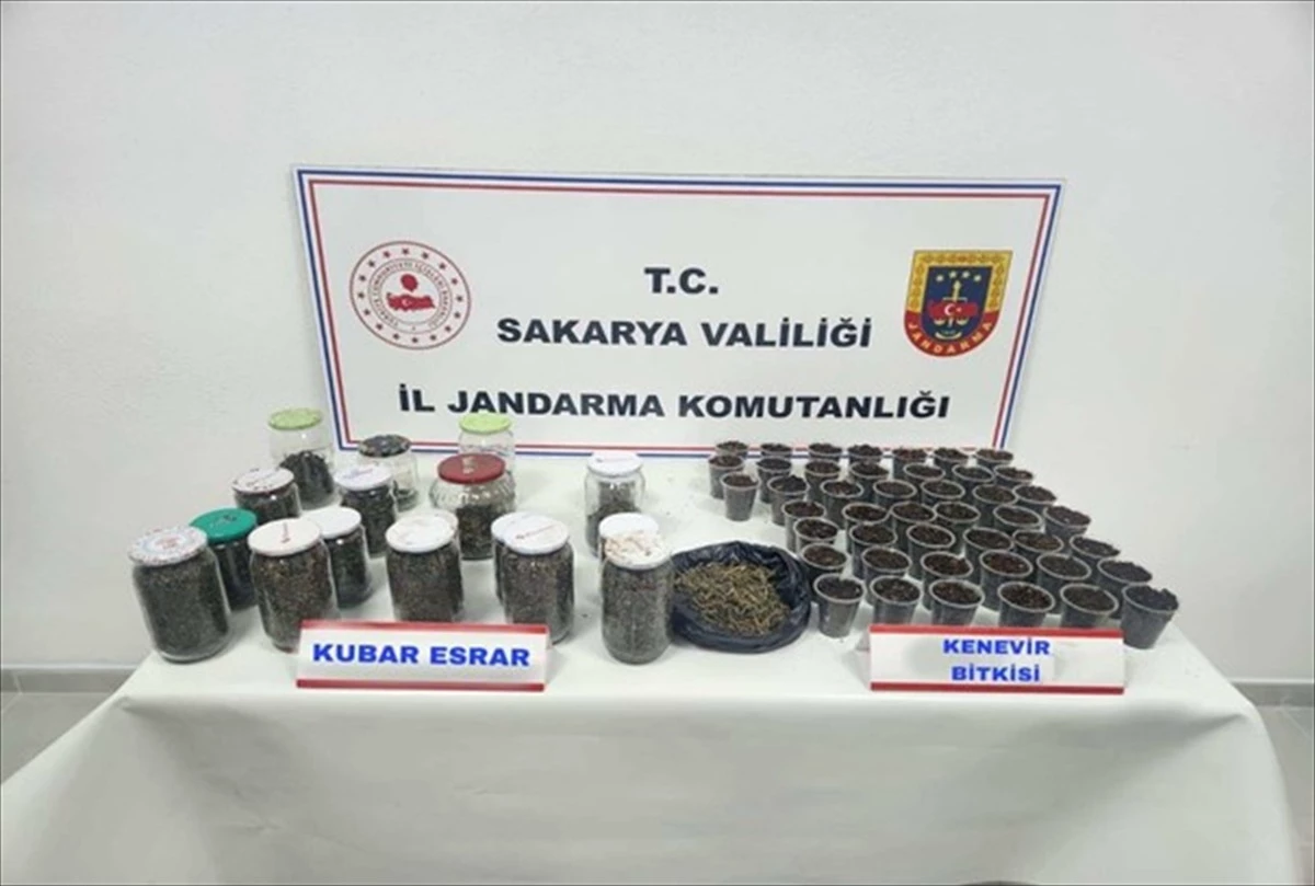 Sakarya’da Uyuşturucu Operasyonunda 4 Şüpheli Tutuklandı
