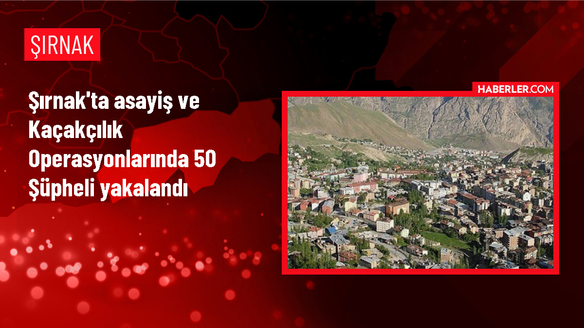 Şırnak'ta düzenlenen operasyonlarda 50 zanlı yakalandı