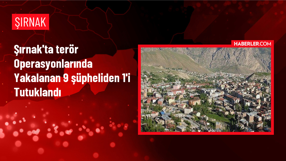 Şırnak'ta FETÖ ve PKK/KCK operasyonunda 1 kişi tutuklandı
