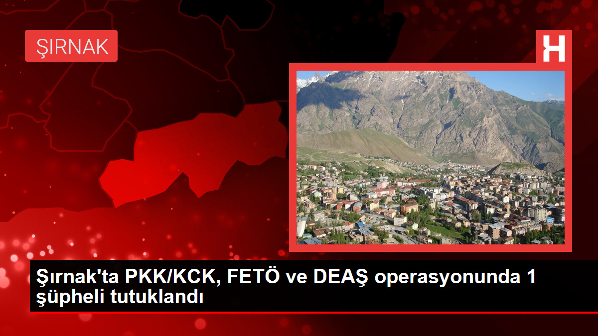 Şırnak'ta PKK/KCK, FETÖ ve DEAŞ operasyonunda 1 şüpheli tutuklandı