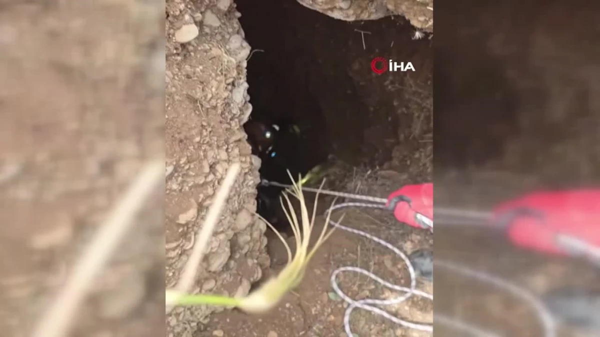 Yer altı mağarasında mahsur kalan keçi kurtarıldı